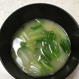 白菜の味噌汁